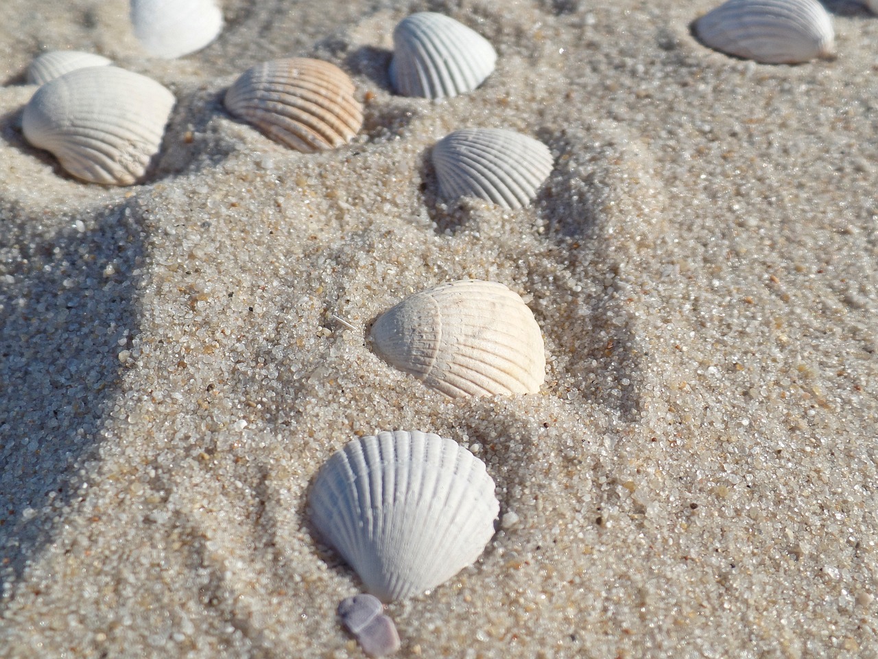 Offizielle Warnung vor Lebensgefahr im deutschen Urlaubsparadies