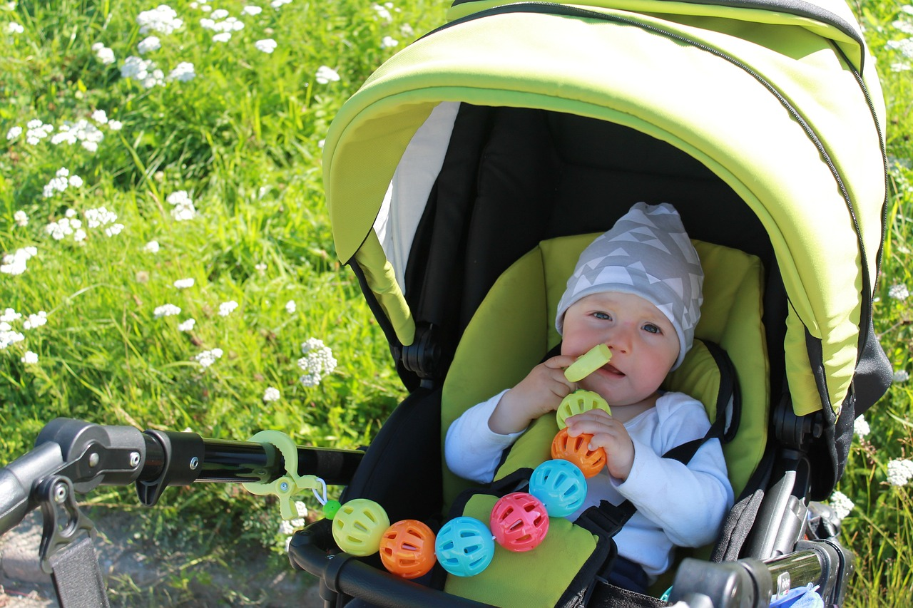 Baby beim Spazierenfahren im Park angegriffen