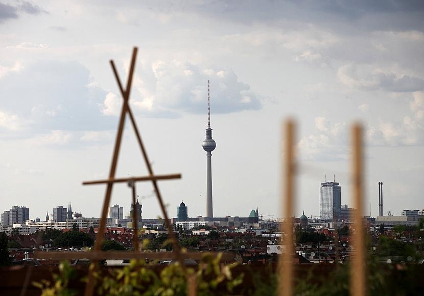 Vogelgrippe bei Graugans in Berlin nachgewiesen