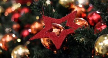 Sozialverband: Viele Menschen müssen auf Weihnachtsbaum verzichten