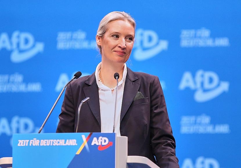 AfD stellt Windrad-Äußerung von Weidel klar