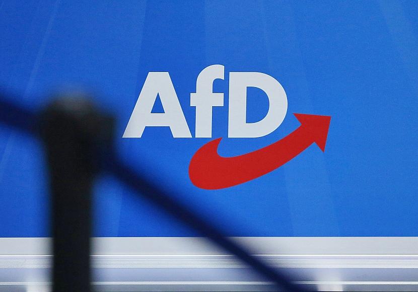 Nach AfD-Parteitag: Initiative pocht auf Verbotsprüfung